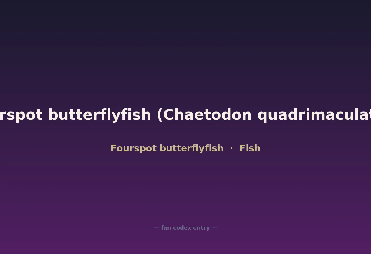 Fourspot butterflyfish (Chaetodon quadrimaculatus)
