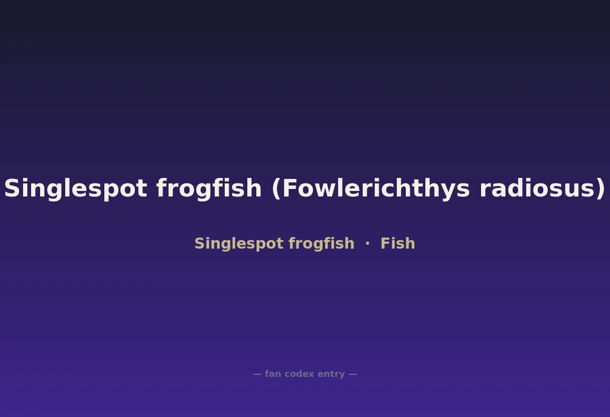 Singlespot frogfish (Fowlerichthys radiosus)
