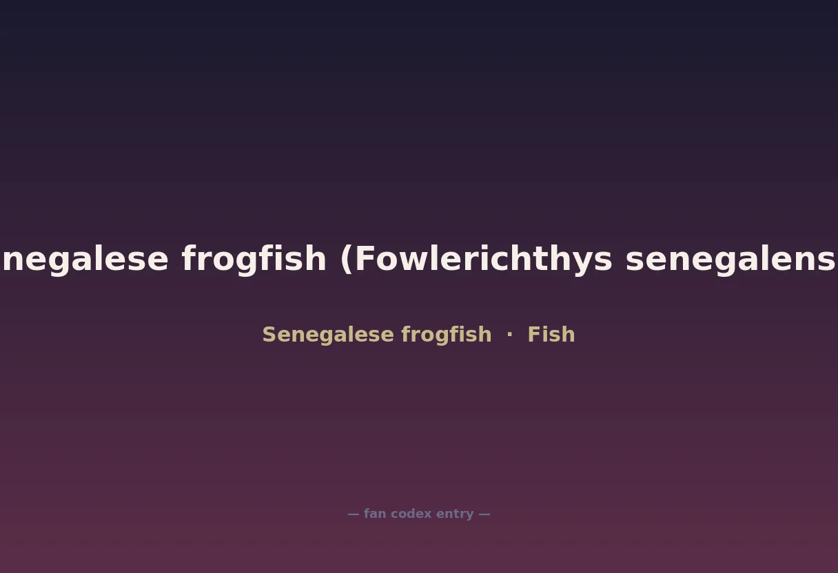 Senegalese frogfish (Fowlerichthys senegalensis)