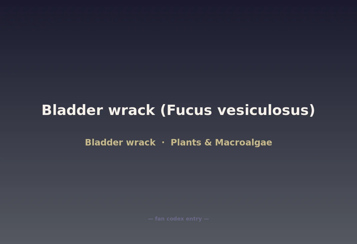 Bladder wrack (Fucus vesiculosus)