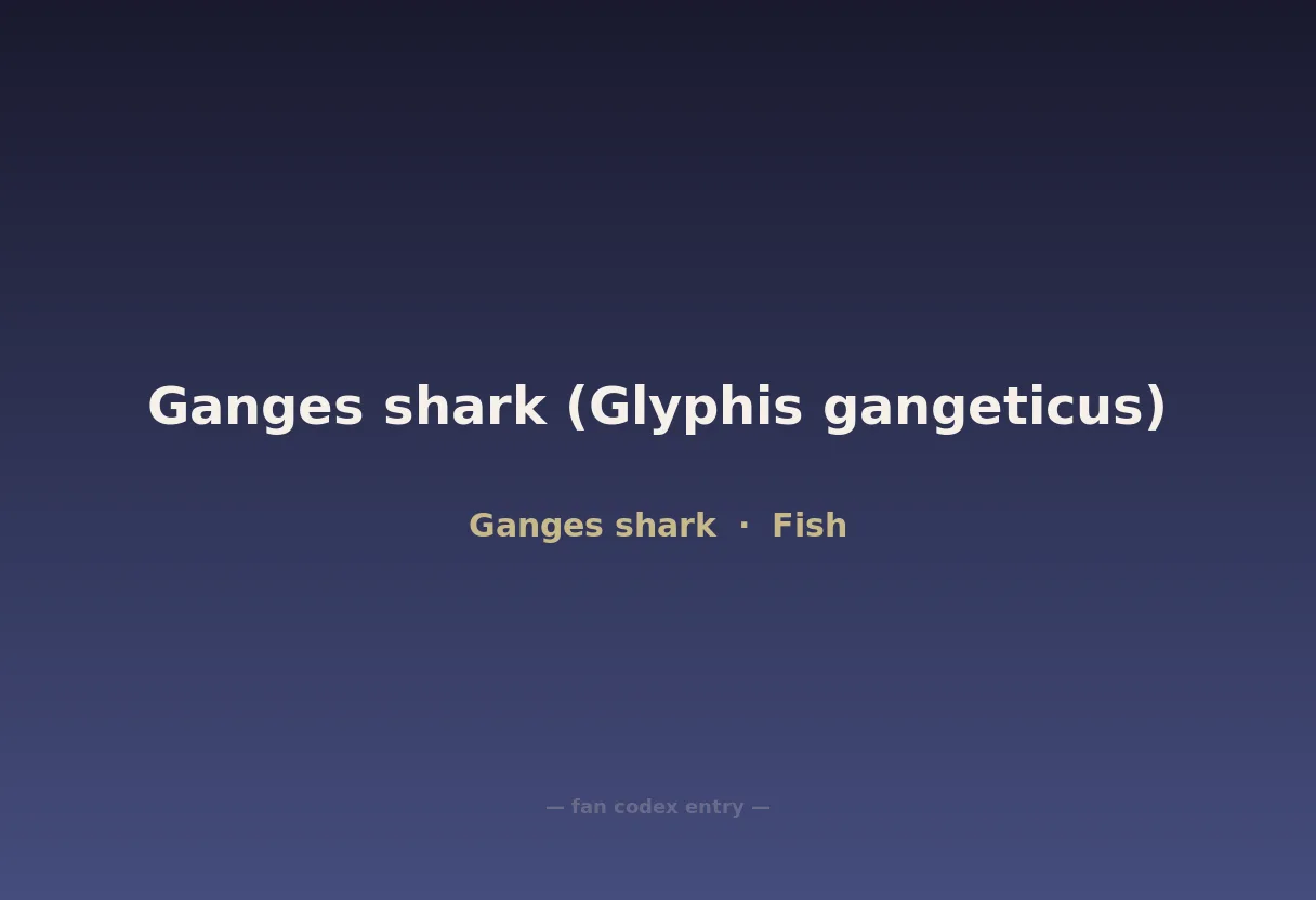 Ganges shark (Glyphis gangeticus)