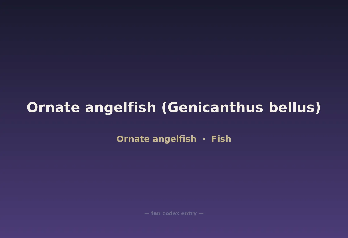 Ornate angelfish (Genicanthus bellus)