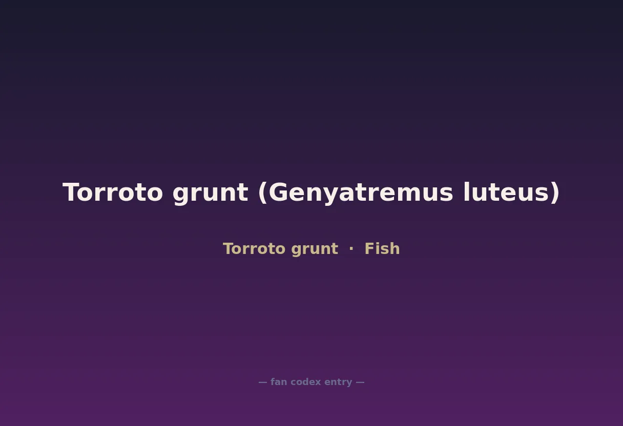 Torroto grunt (Genyatremus luteus)