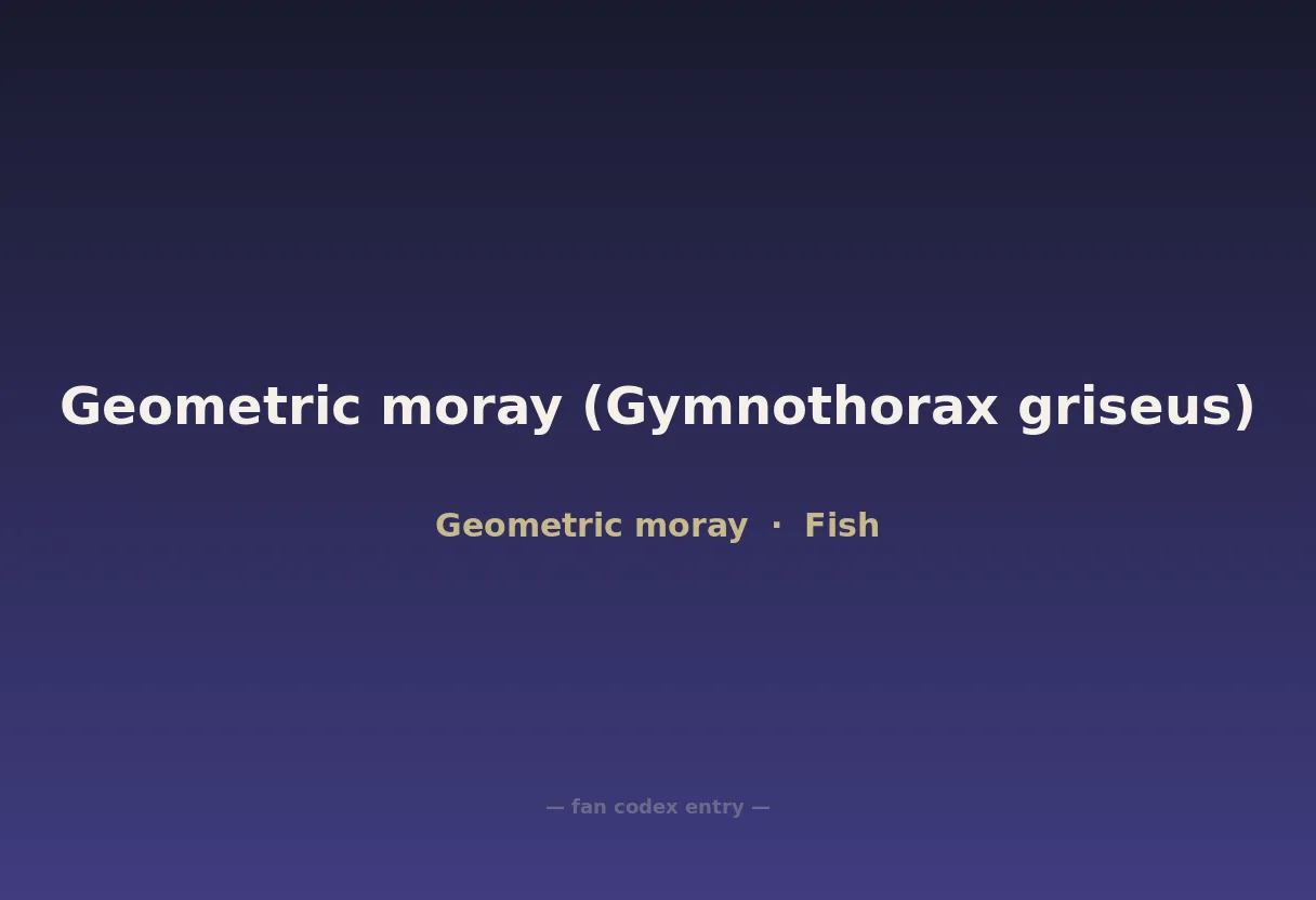 Geometric moray (Gymnothorax griseus)