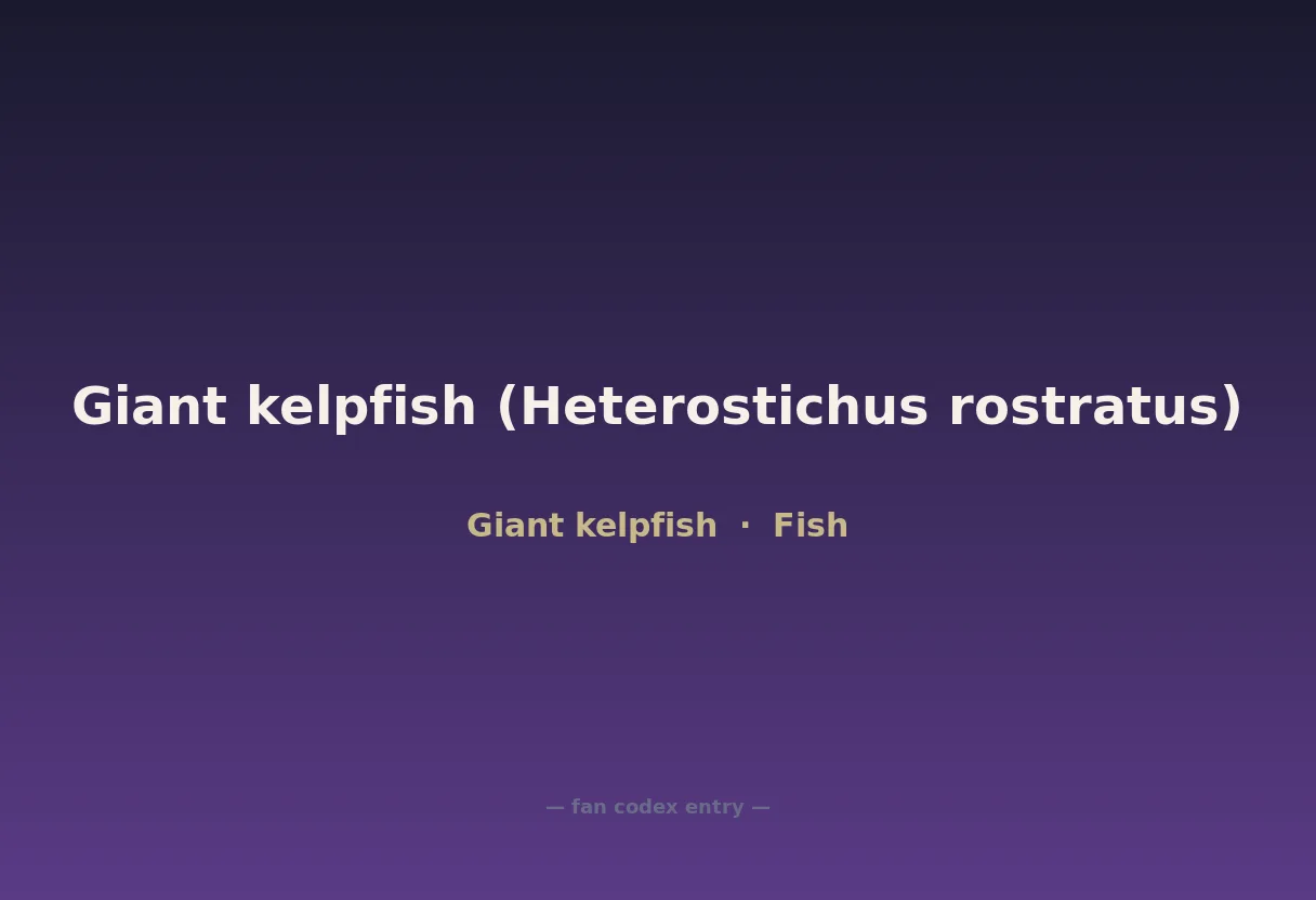 Giant kelpfish (Heterostichus rostratus)