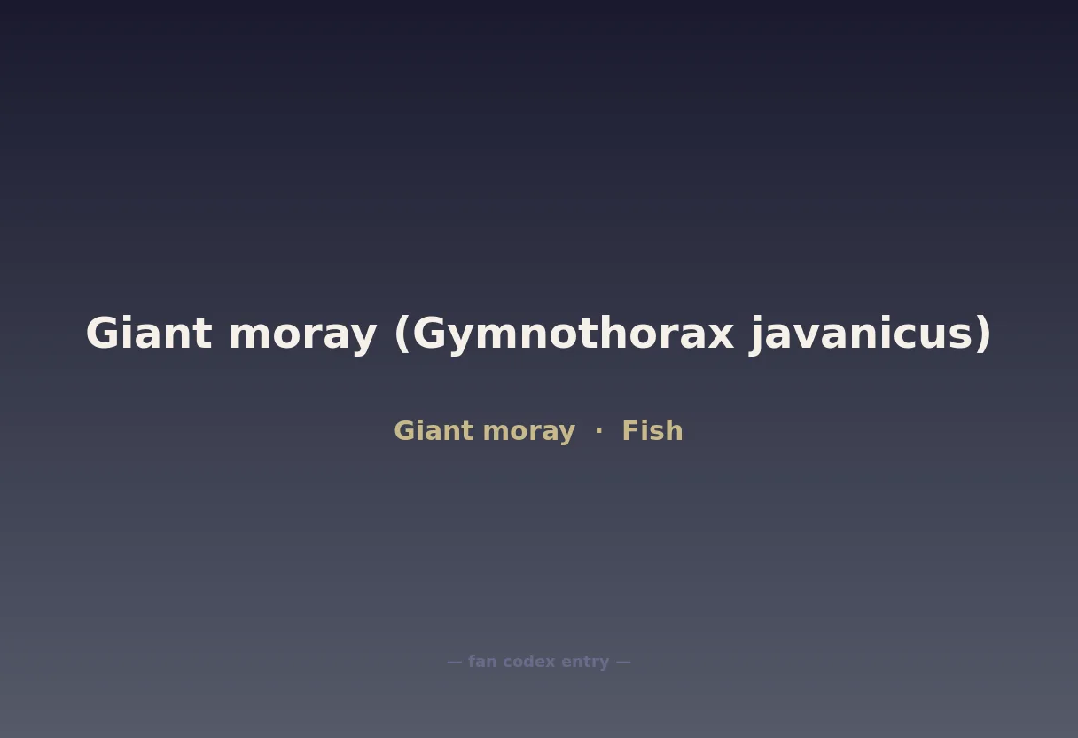 Giant moray (Gymnothorax javanicus)