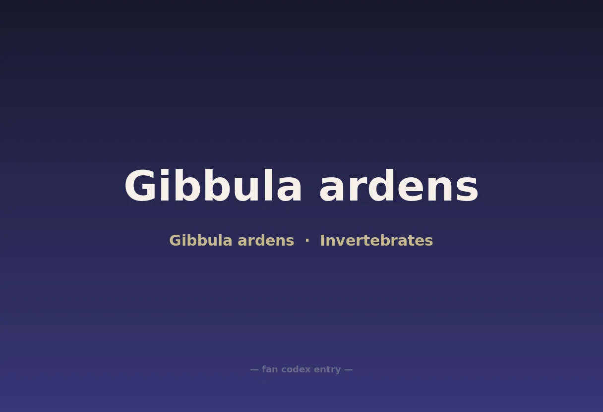Gibbula ardens