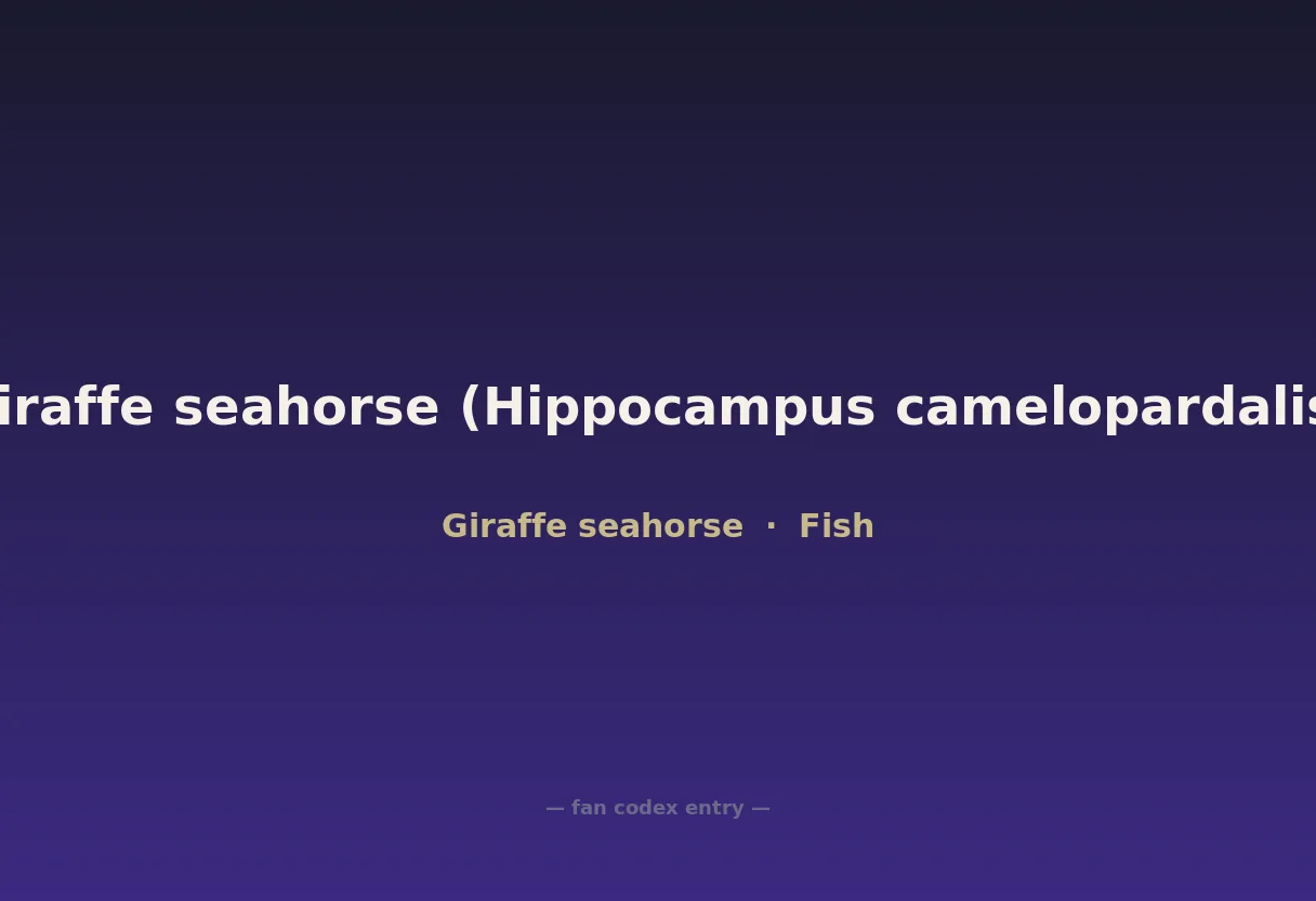 Giraffe seahorse (Hippocampus camelopardalis)