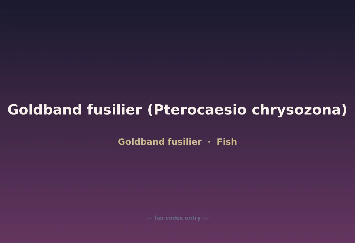 Goldband fusilier (Pterocaesio chrysozona)