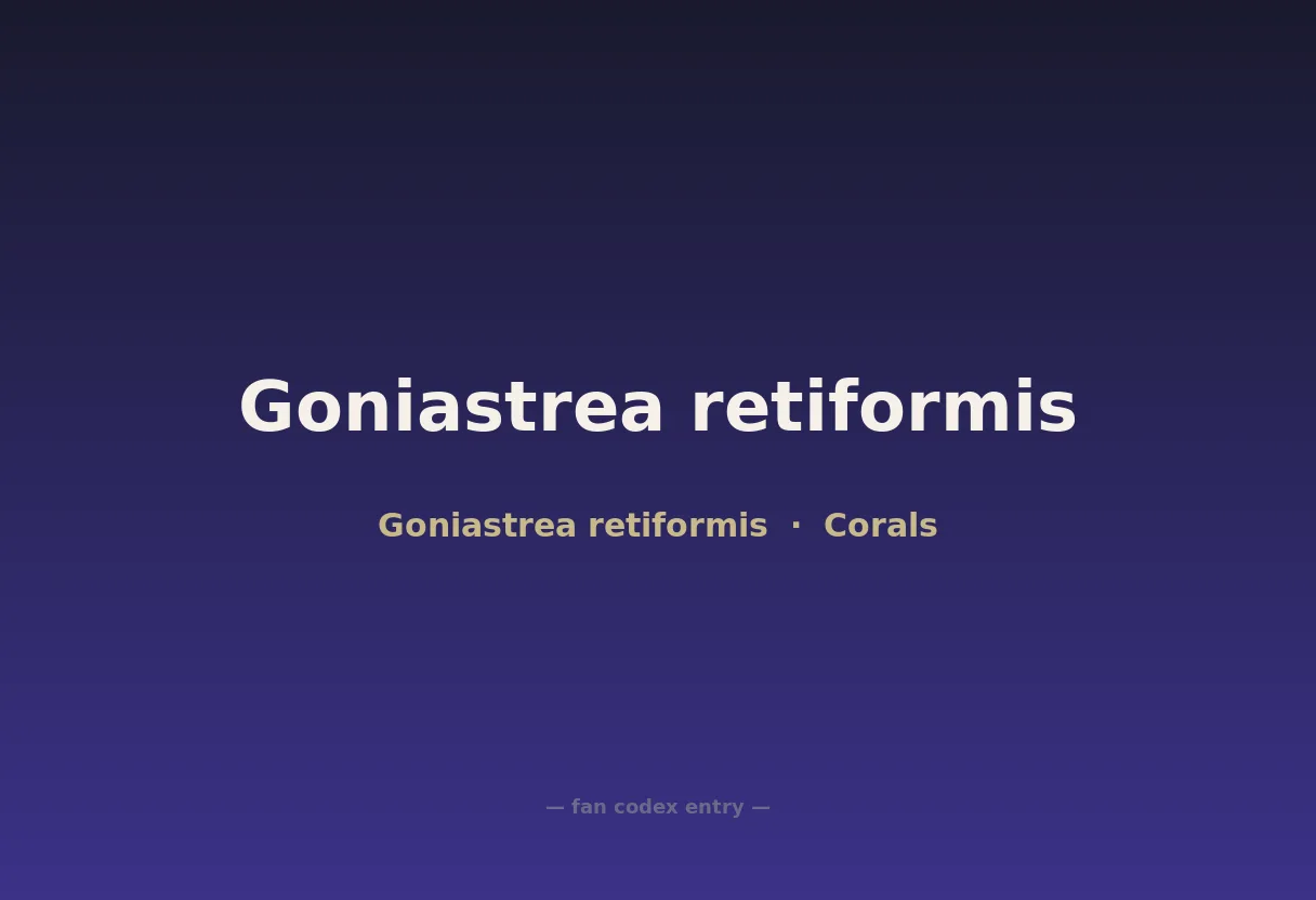 Goniastrea retiformis