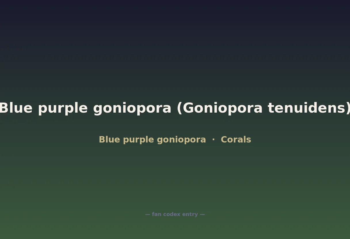Blue purple goniopora (Goniopora tenuidens)