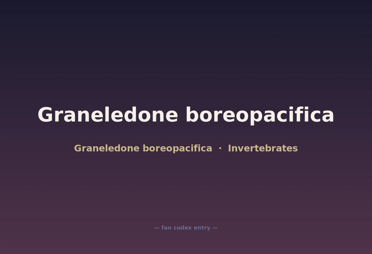 Graneledone boreopacifica