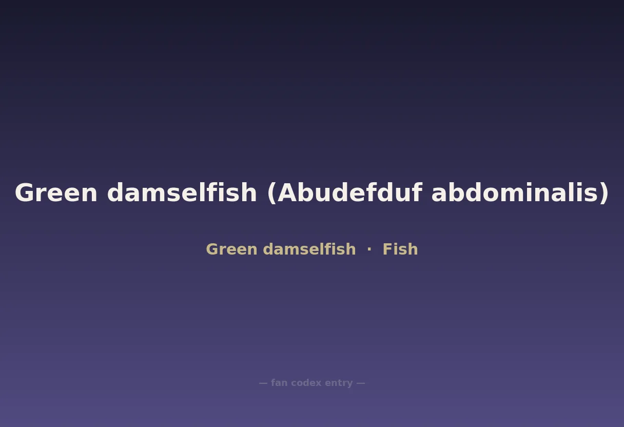 Green damselfish (Abudefduf abdominalis)