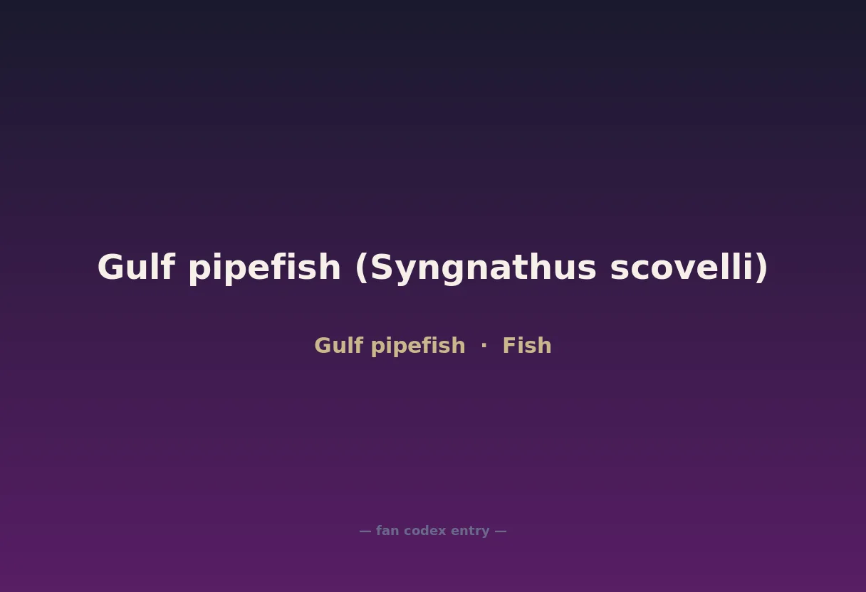 Gulf pipefish (Syngnathus scovelli)