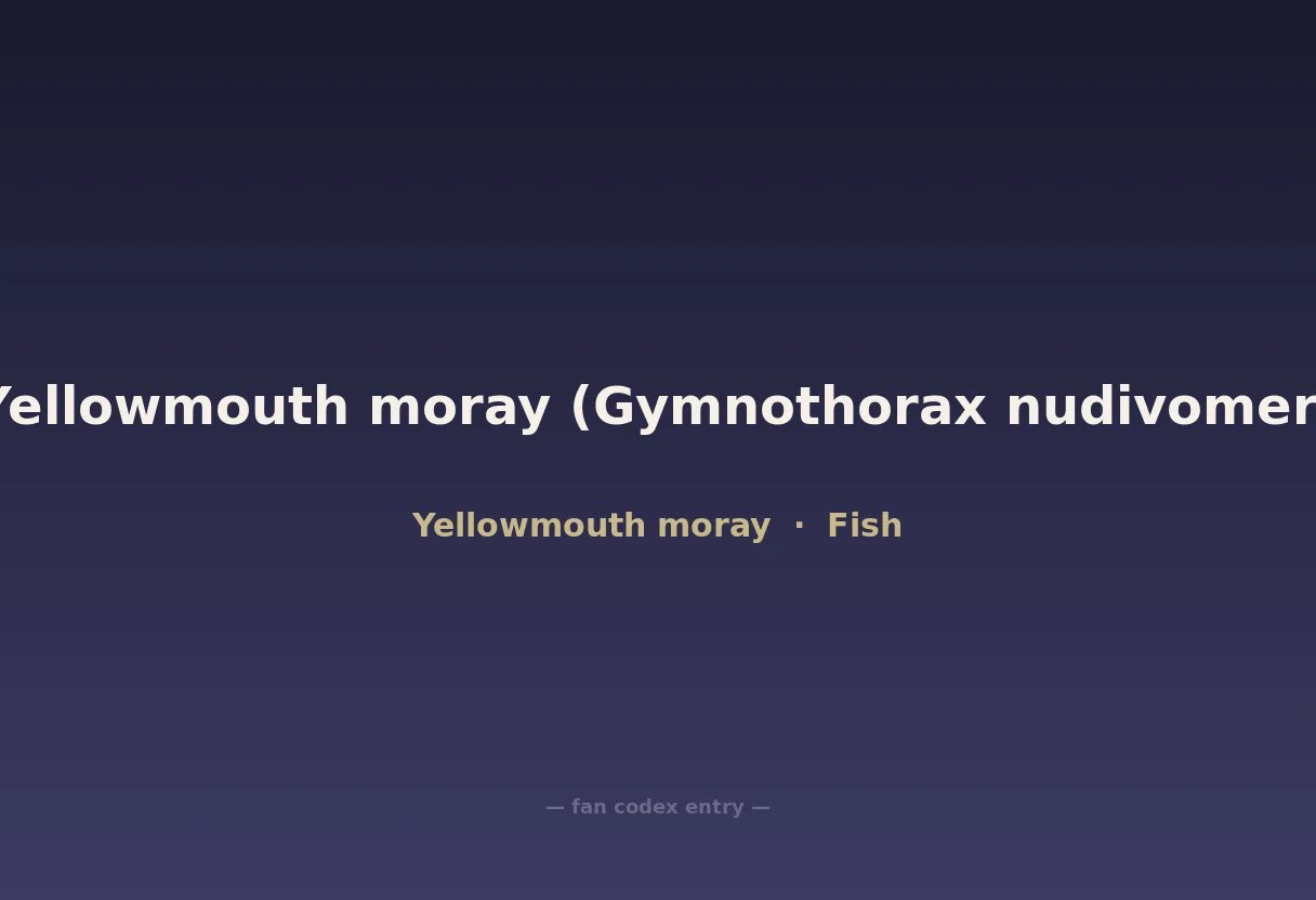 Yellowmouth moray (Gymnothorax nudivomer)