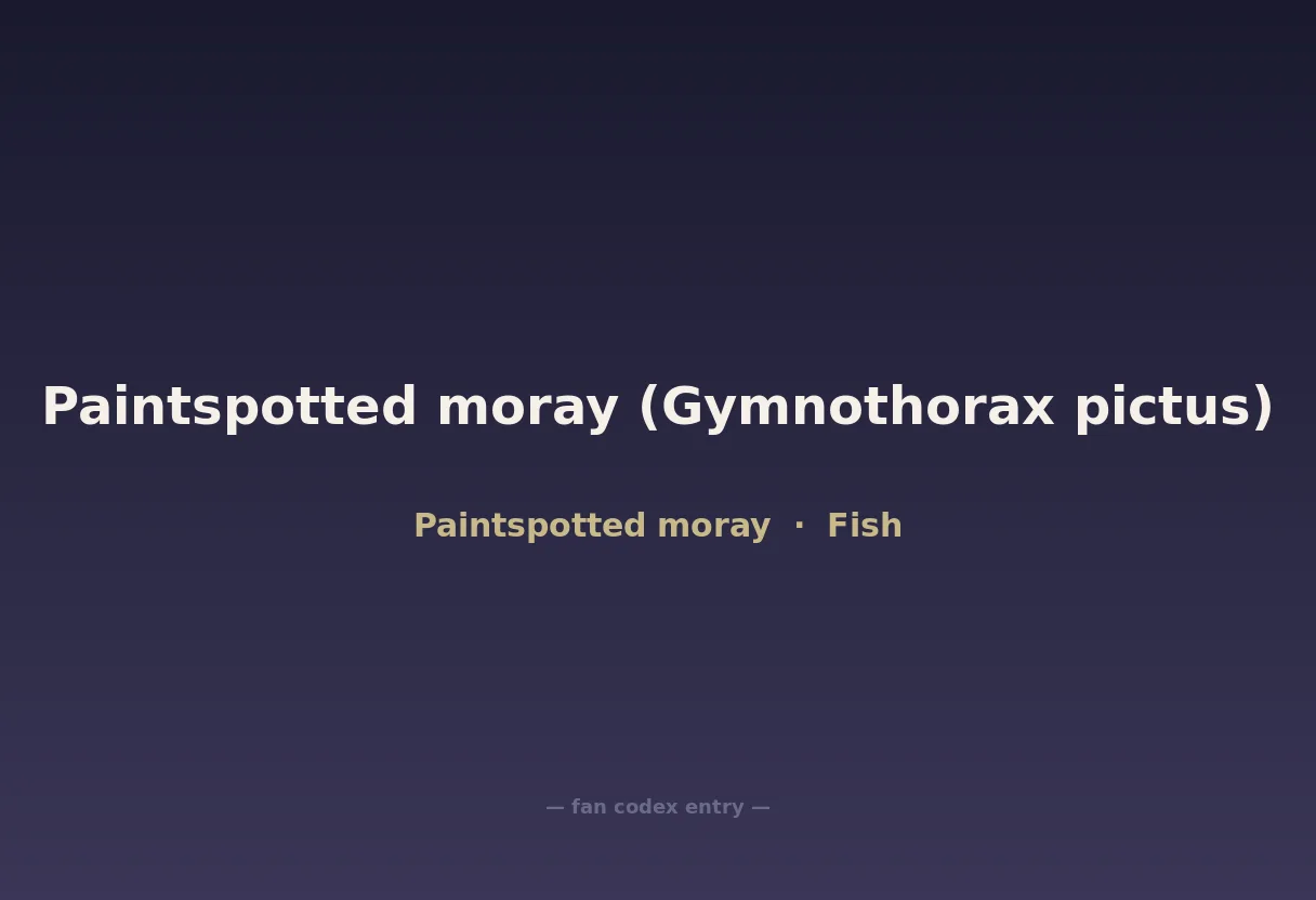 Paintspotted moray (Gymnothorax pictus)
