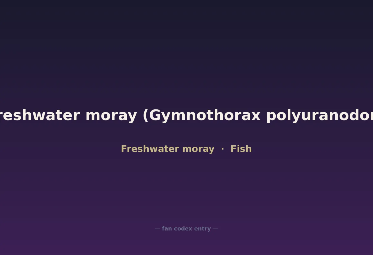 Freshwater moray (Gymnothorax polyuranodon)