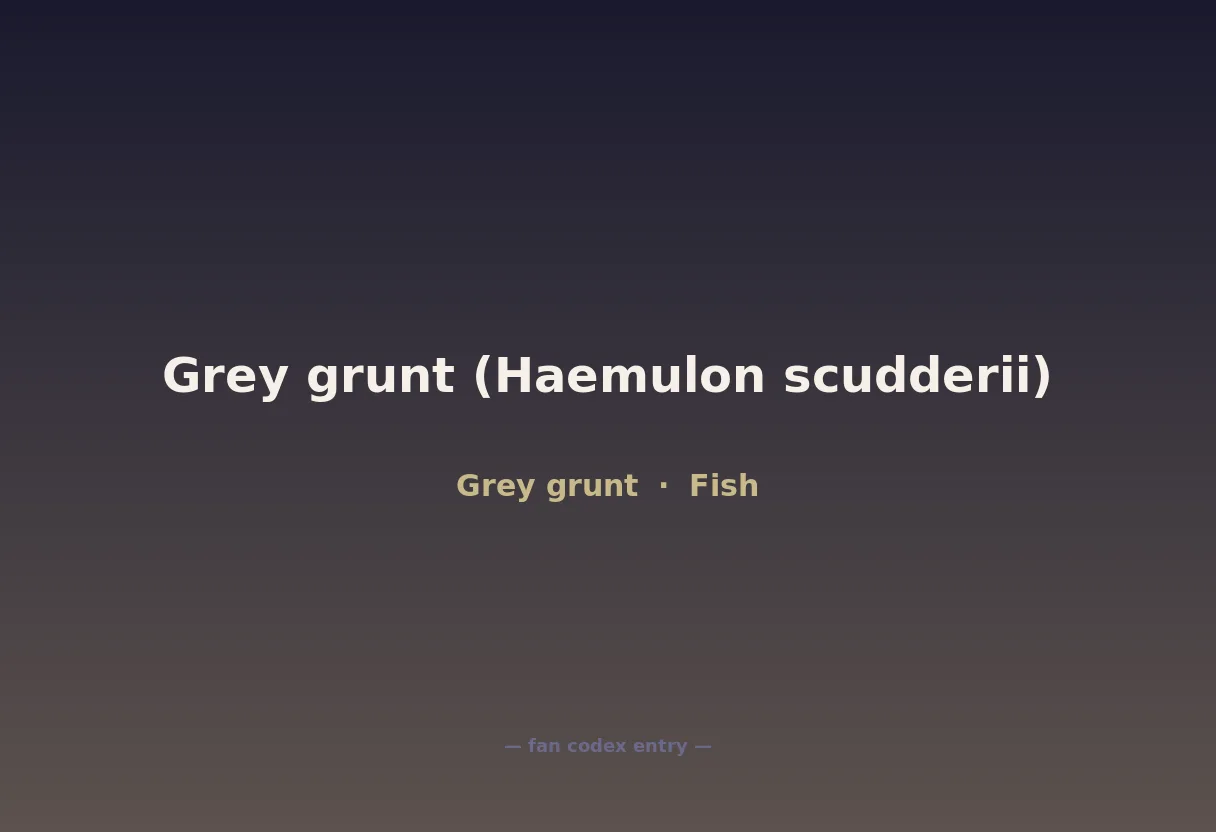 Grey grunt (Haemulon scudderii)