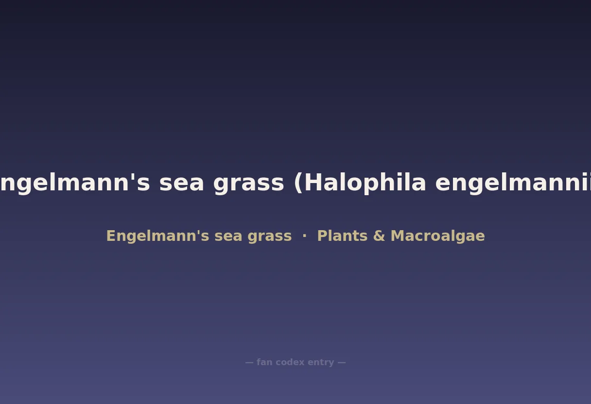 Engelmann's sea grass (Halophila engelmannii)