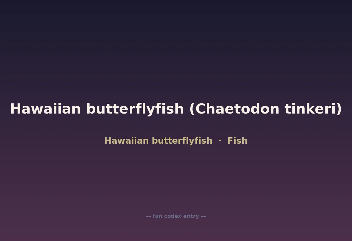 Hawaiian butterflyfish (Chaetodon tinkeri)