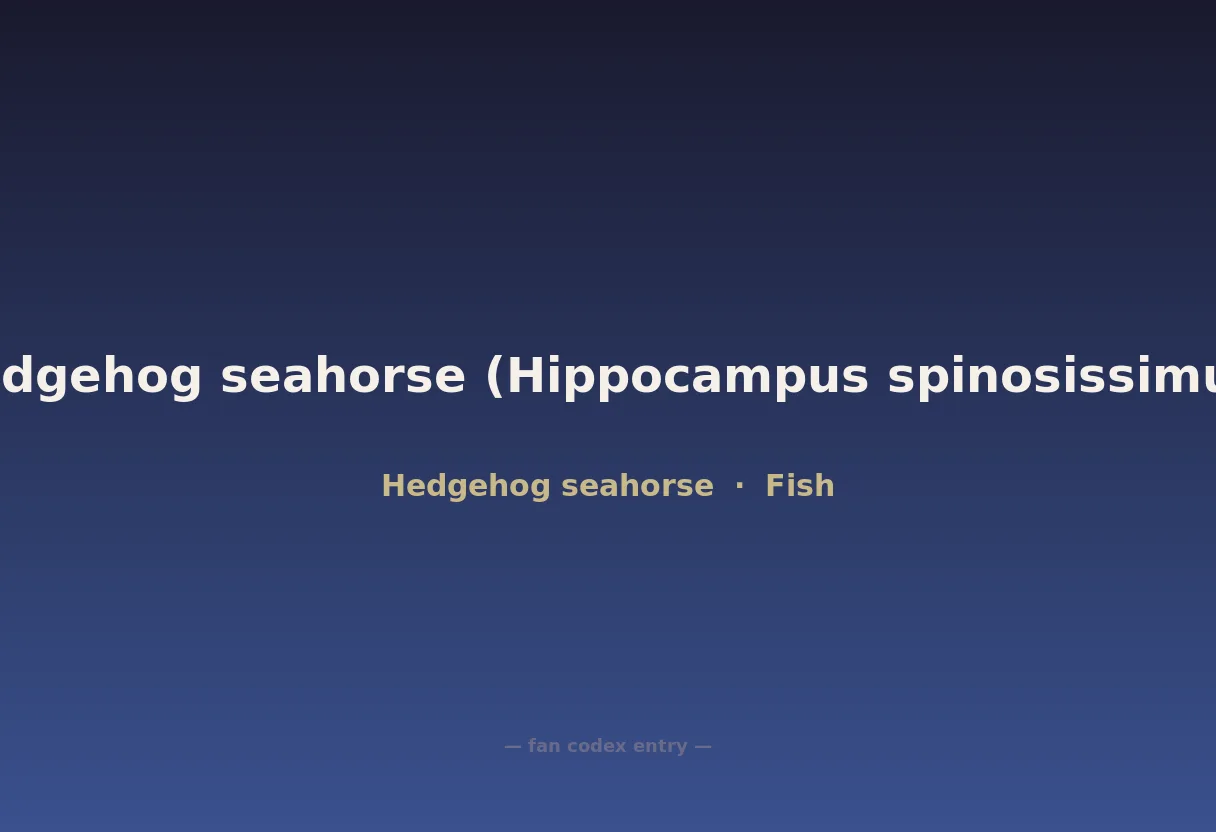 Hedgehog seahorse (Hippocampus spinosissimus)