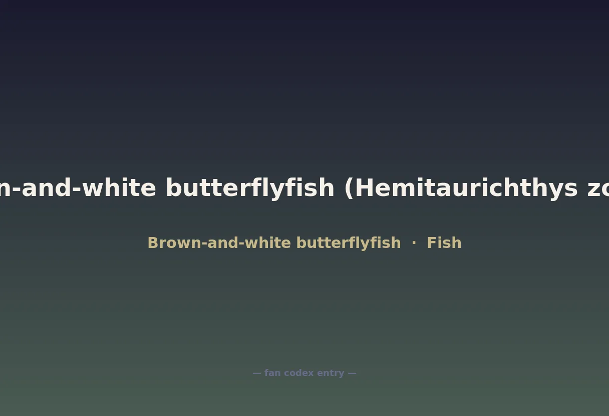Brown-and-white butterflyfish (Hemitaurichthys zoster)