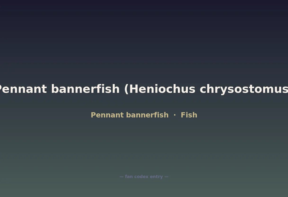 Pennant bannerfish (Heniochus chrysostomus)
