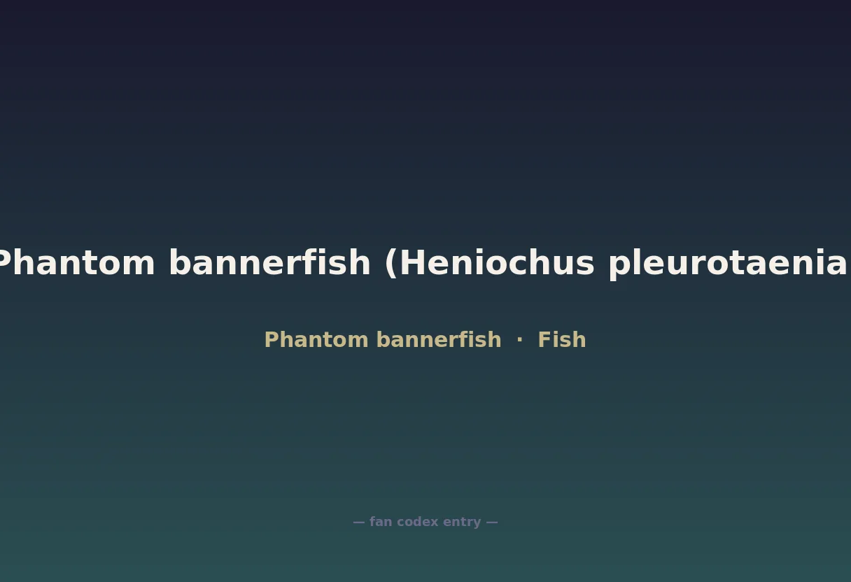 Phantom bannerfish (Heniochus pleurotaenia)