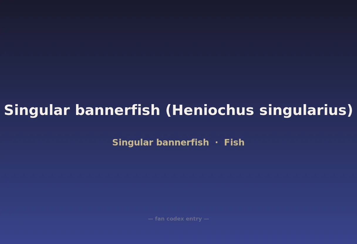 Singular bannerfish (Heniochus singularius)
