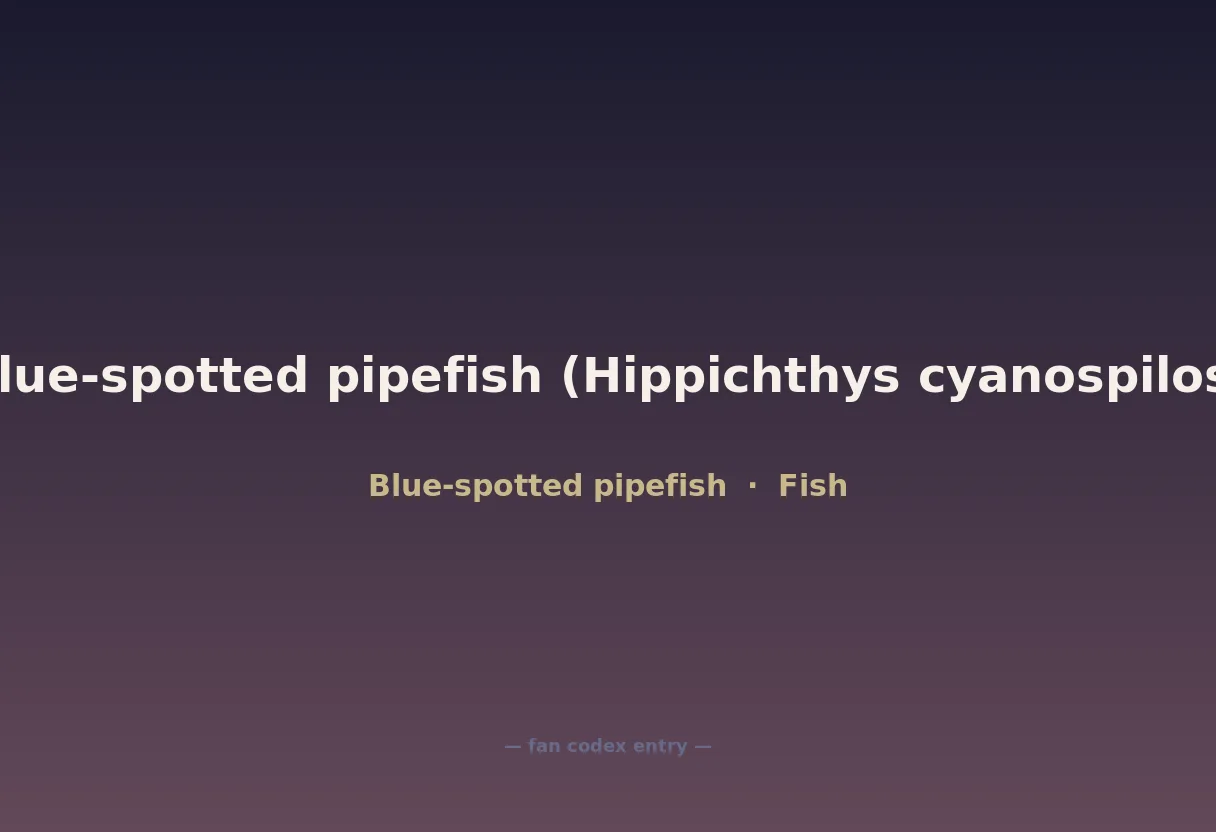 Blue-spotted pipefish (Hippichthys cyanospilos)