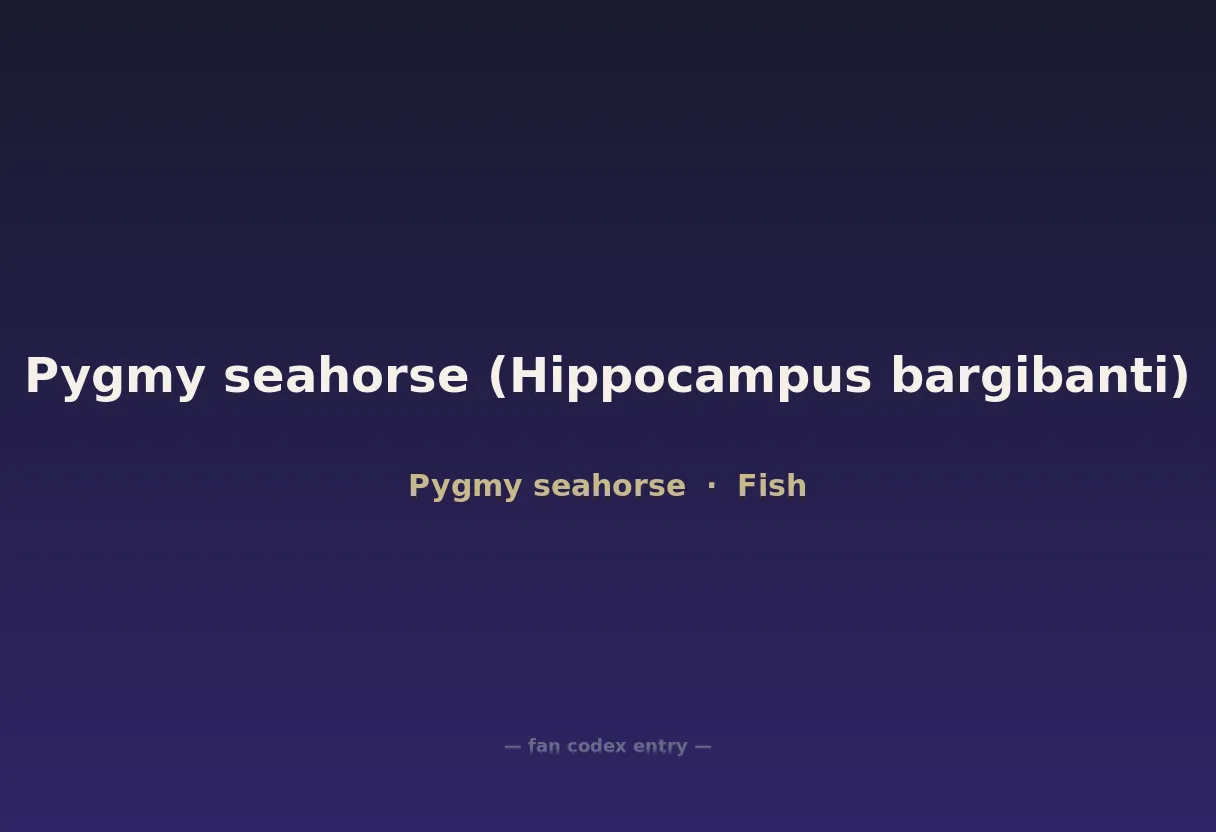 Pygmy seahorse (Hippocampus bargibanti)