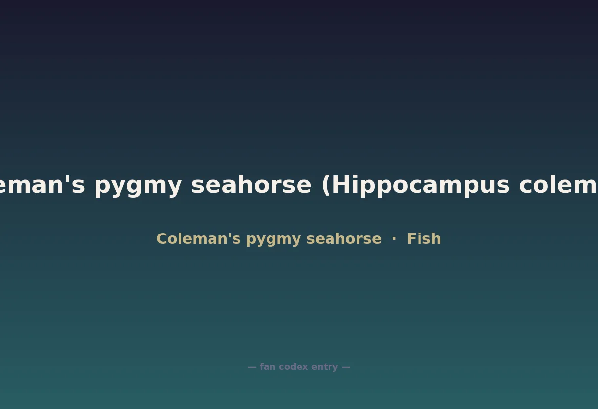 Coleman's pygmy seahorse (Hippocampus colemani)