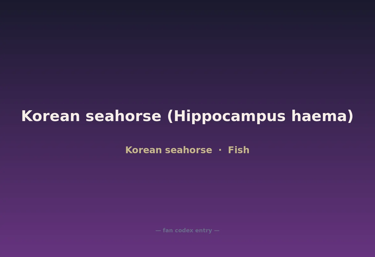 Korean seahorse (Hippocampus haema)