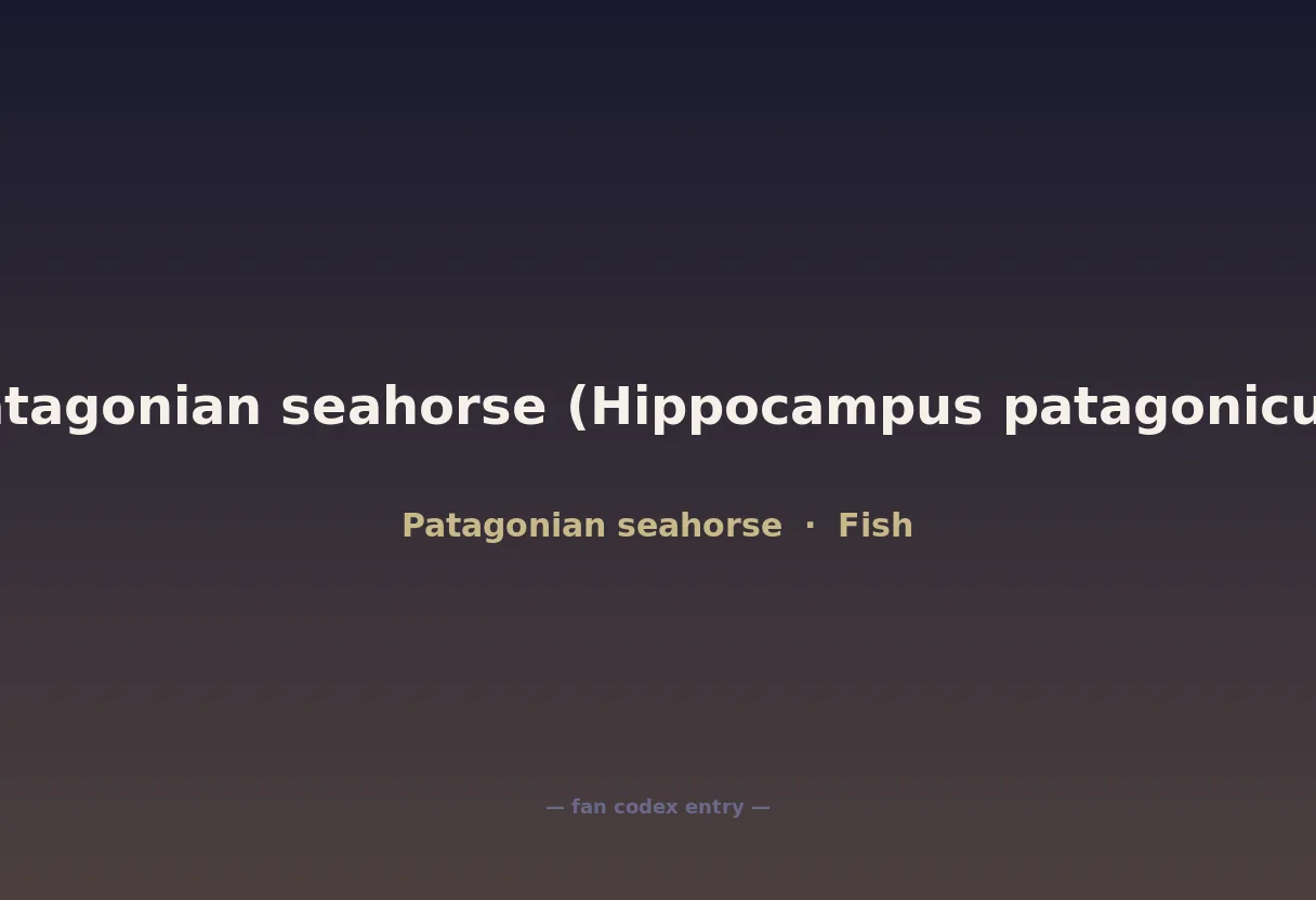 Patagonian seahorse (Hippocampus patagonicus)