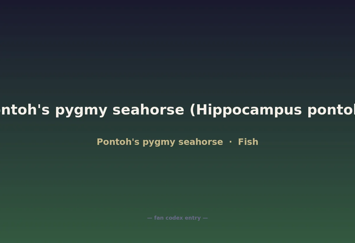 Pontoh's pygmy seahorse (Hippocampus pontohi)