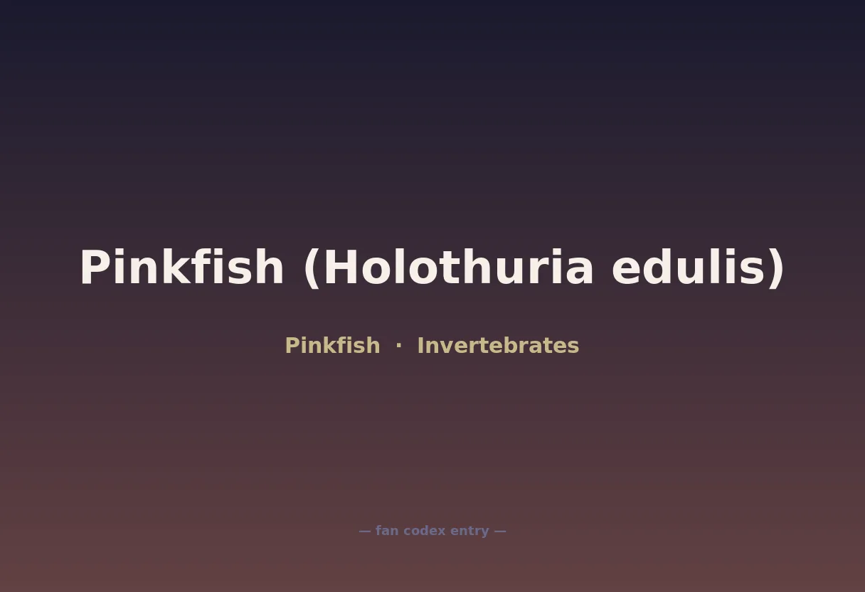 Pinkfish (Holothuria edulis)