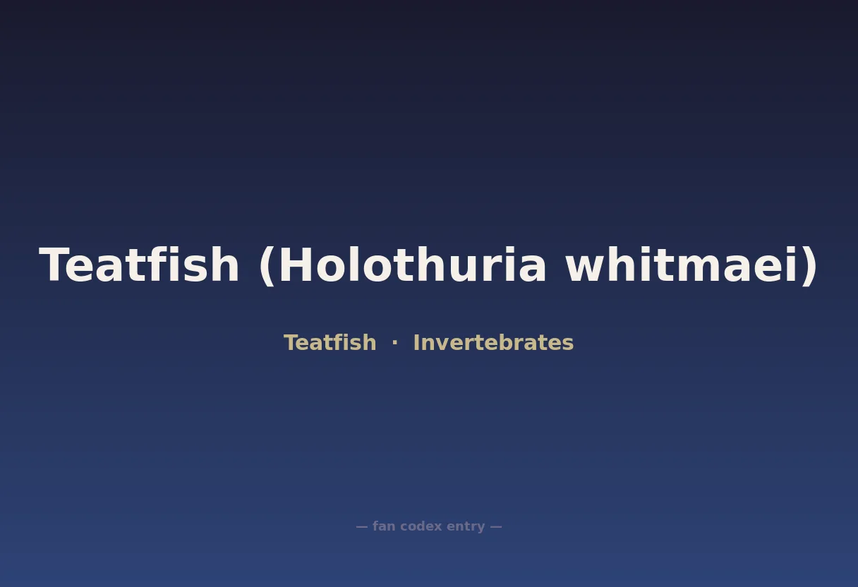 Teatfish (Holothuria whitmaei)