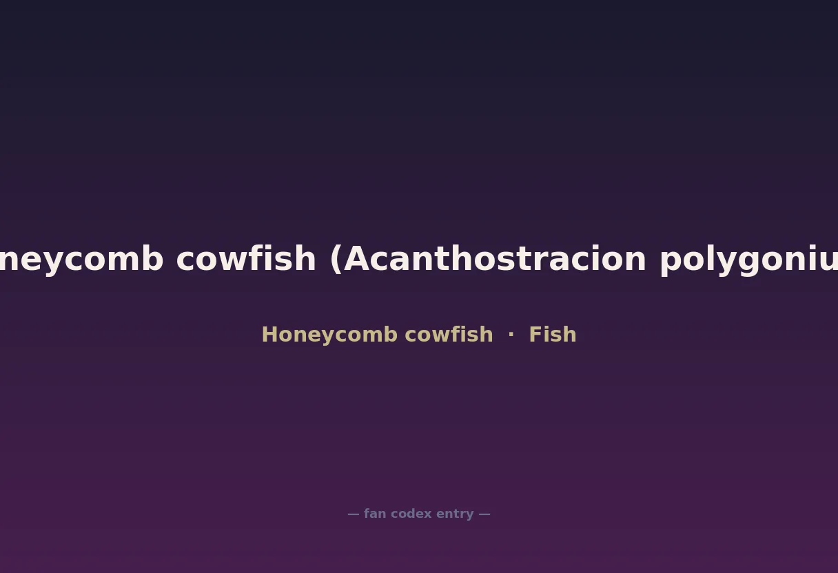 Honeycomb cowfish (Acanthostracion polygonium)