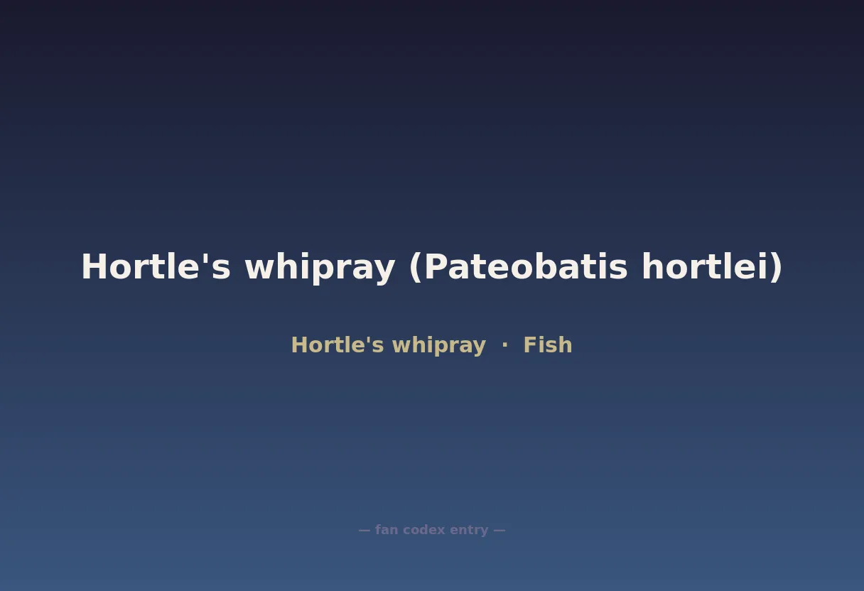 Hortle's whipray (Pateobatis hortlei)
