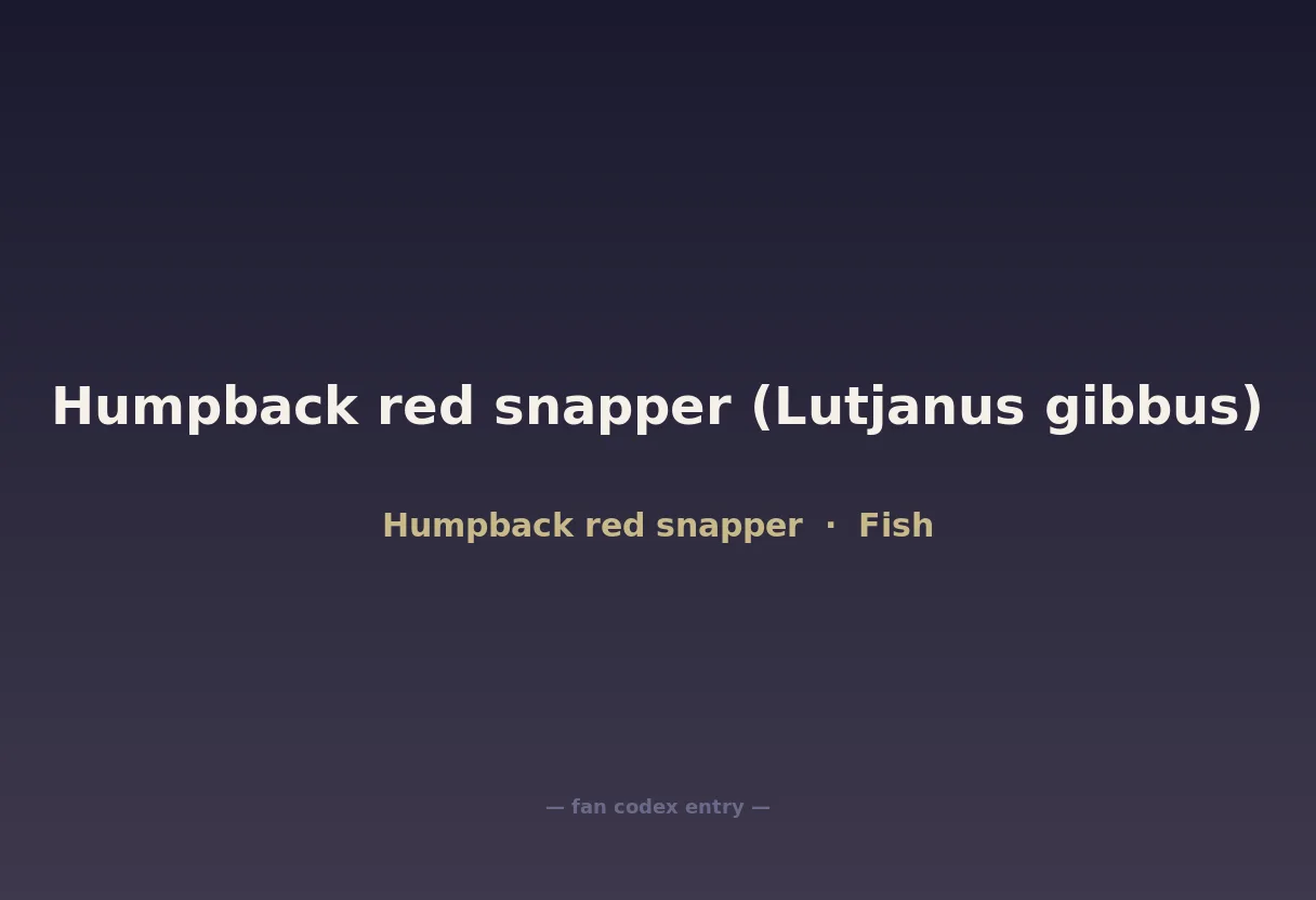 Humpback red snapper (Lutjanus gibbus)