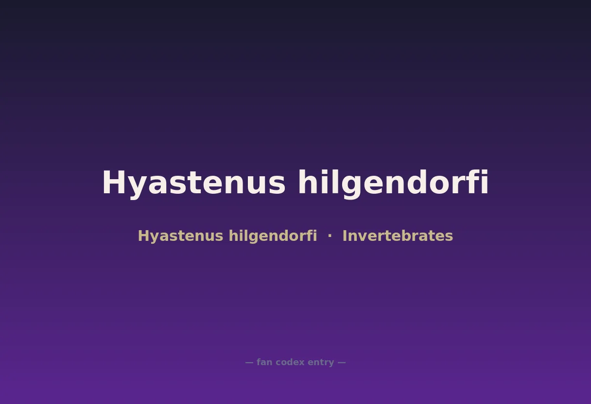 Hyastenus hilgendorfi