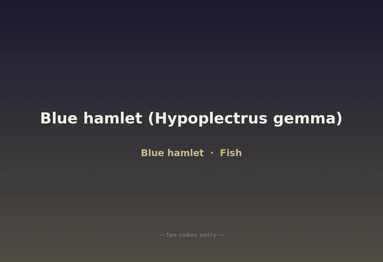 Blue hamlet (Hypoplectrus gemma)