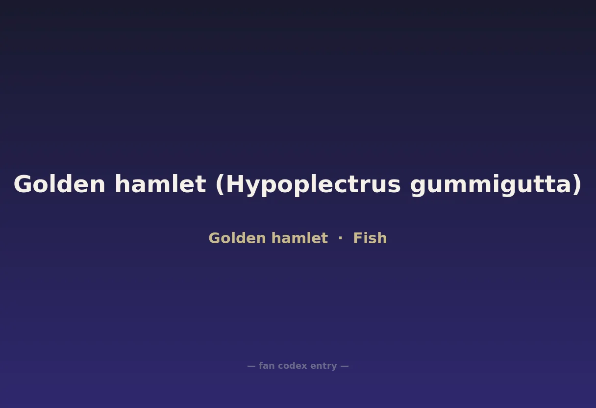 Golden hamlet (Hypoplectrus gummigutta)