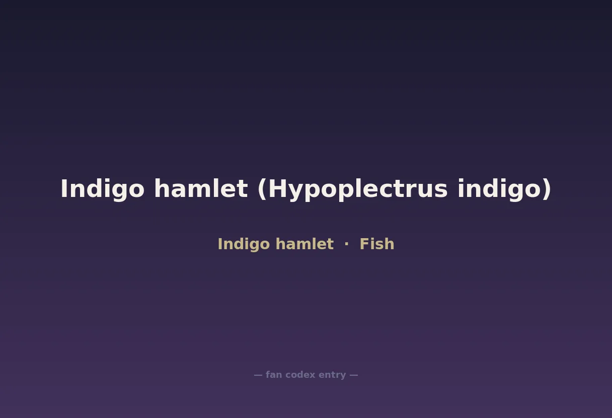 Indigo hamlet (Hypoplectrus indigo)