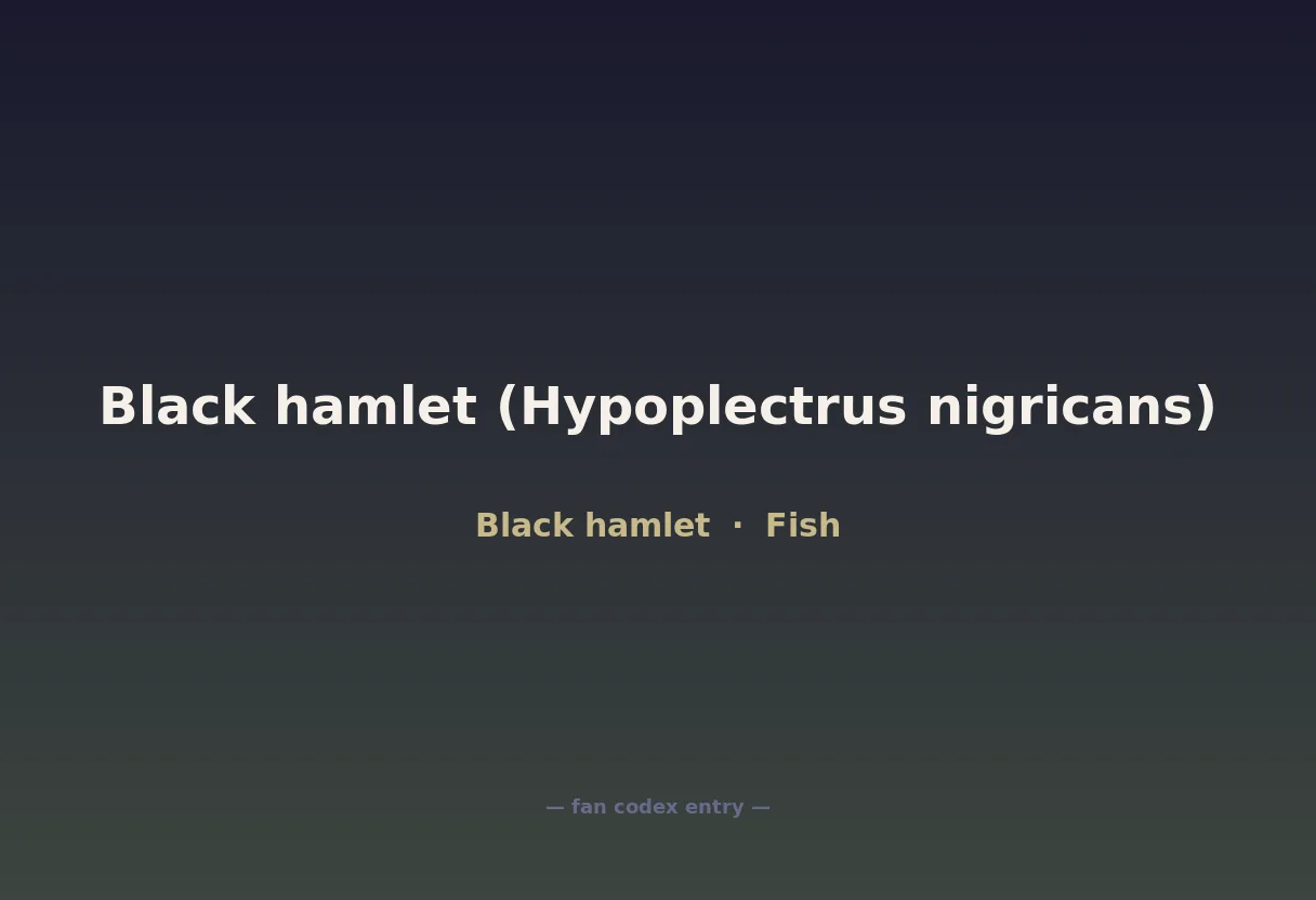 Black hamlet (Hypoplectrus nigricans)