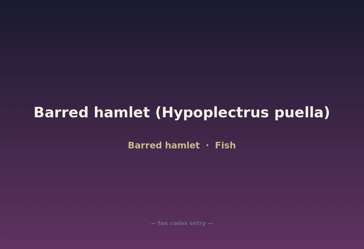 Barred hamlet (Hypoplectrus puella)