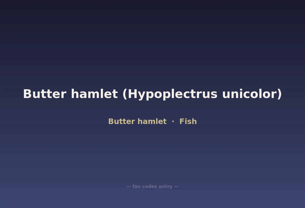 Butter hamlet (Hypoplectrus unicolor)