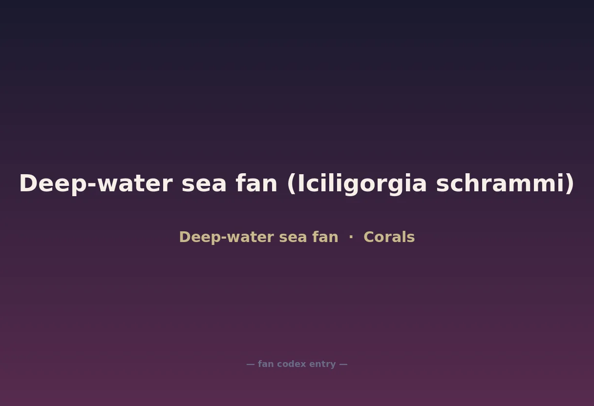 Deep-water sea fan (Iciligorgia schrammi)