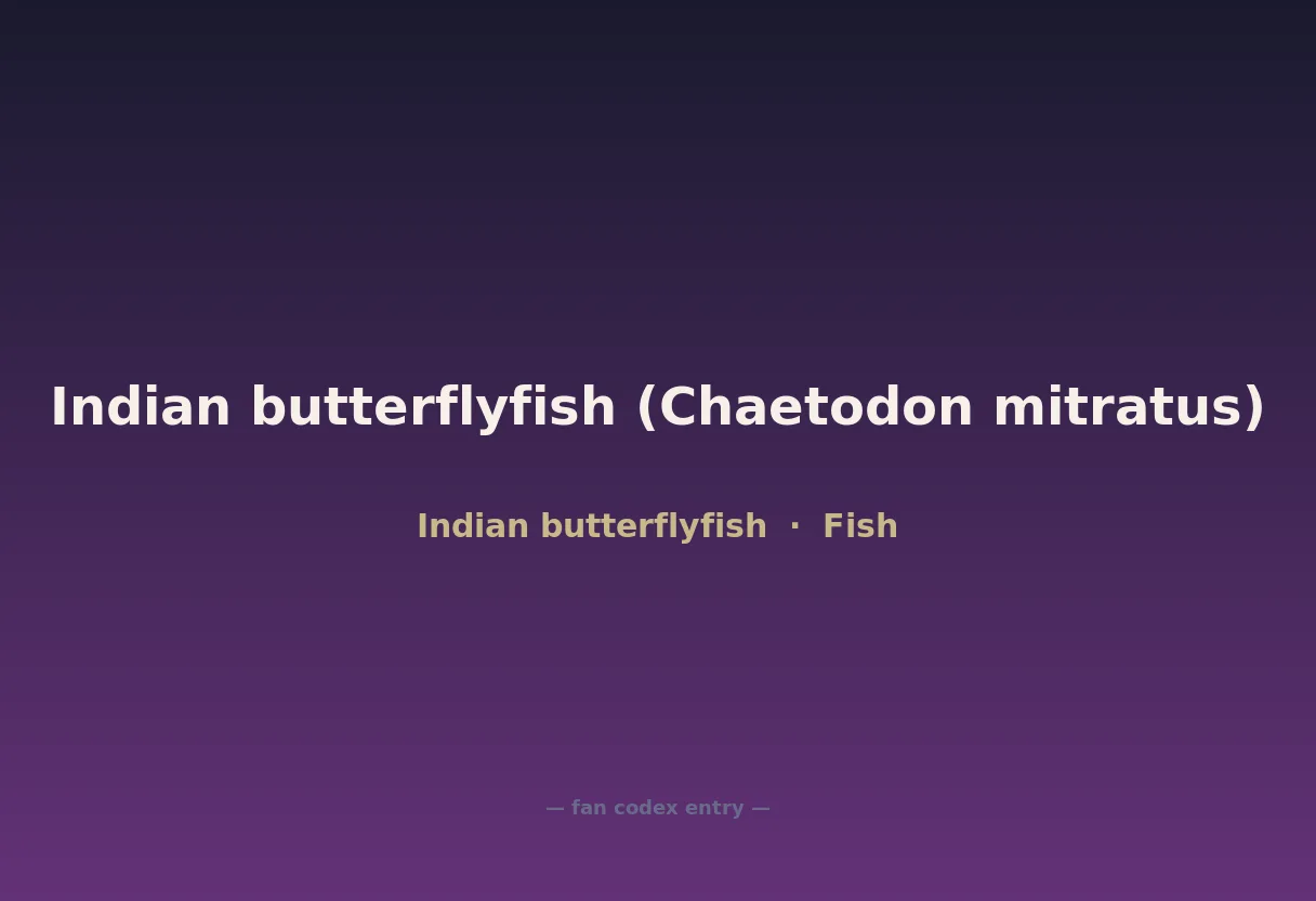 Indian butterflyfish (Chaetodon mitratus)
