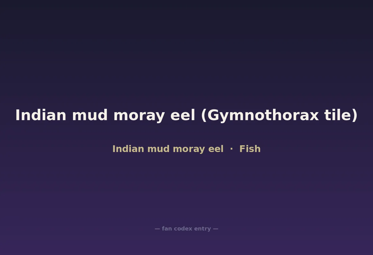 Indian mud moray eel (Gymnothorax tile)